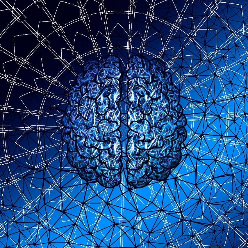 Wenn subjektive Erfahrung und objektive Messung sich ergänzen