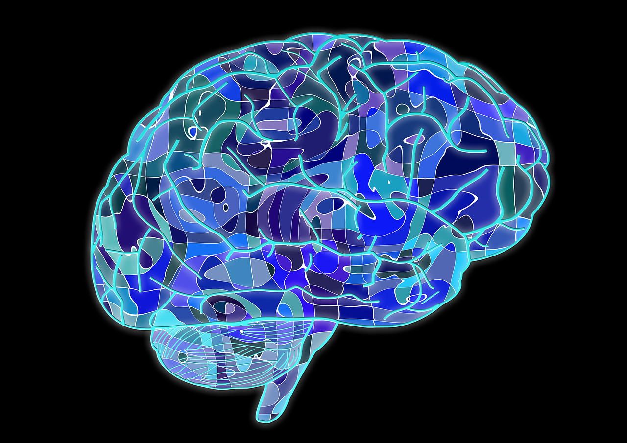 Neurobiological Biomarkers in Psychiatry: Breakthrough or Hype?